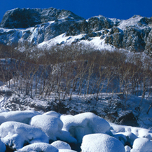 冬は極寒の地で、深い雪に覆われる長白山